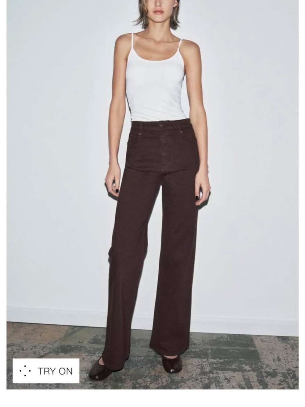 Zara Wide Leg High Rise Pants